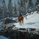 The Last Of Us 2